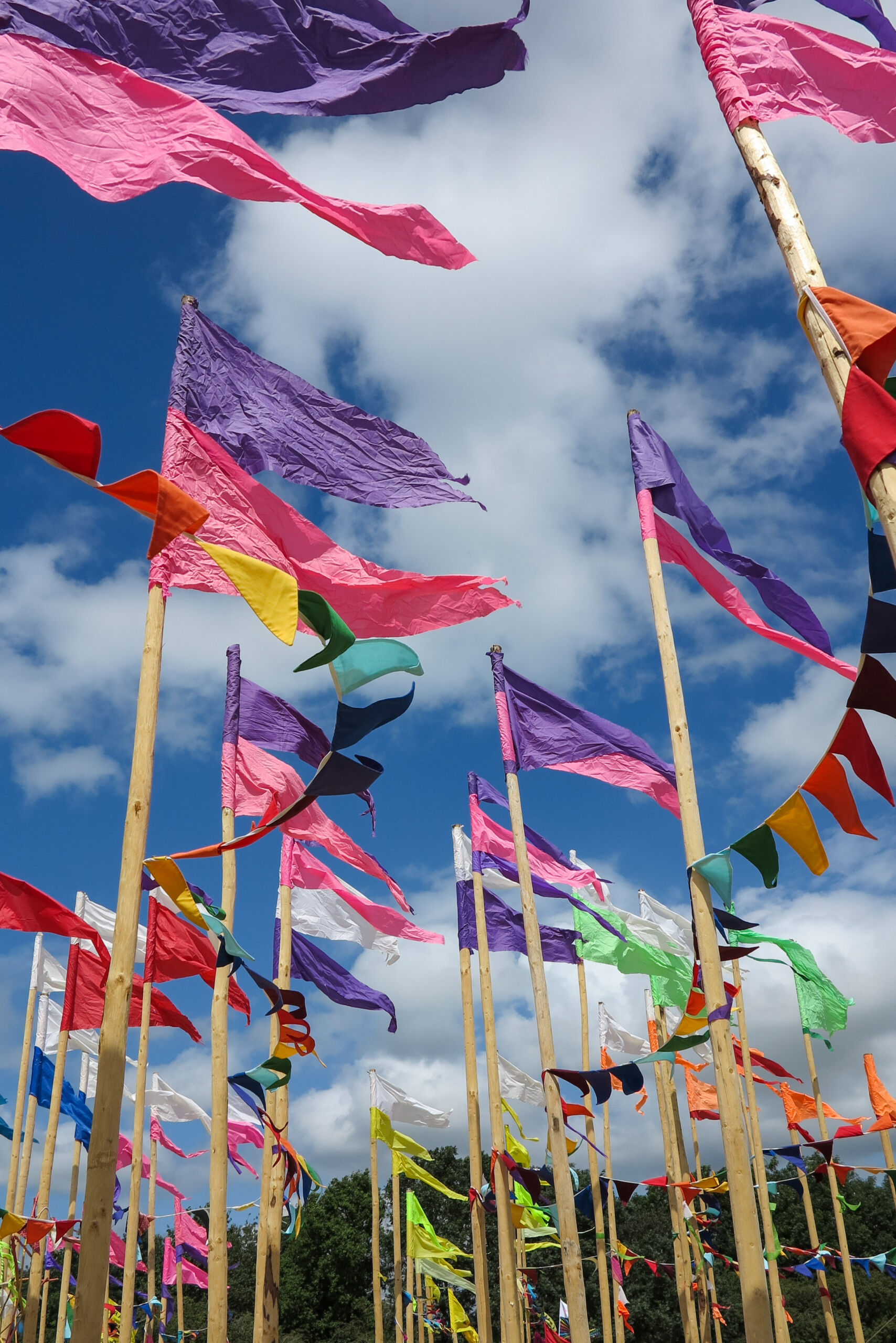Photograph showing multiple tall wooden poles with colourful flags and pennants fluttering against a partly cloudy blue sky. Flags in shades of purple, pink, red, green, and orange create a festive atmosphere, with some poles decorated with triangular bunting in various colours.