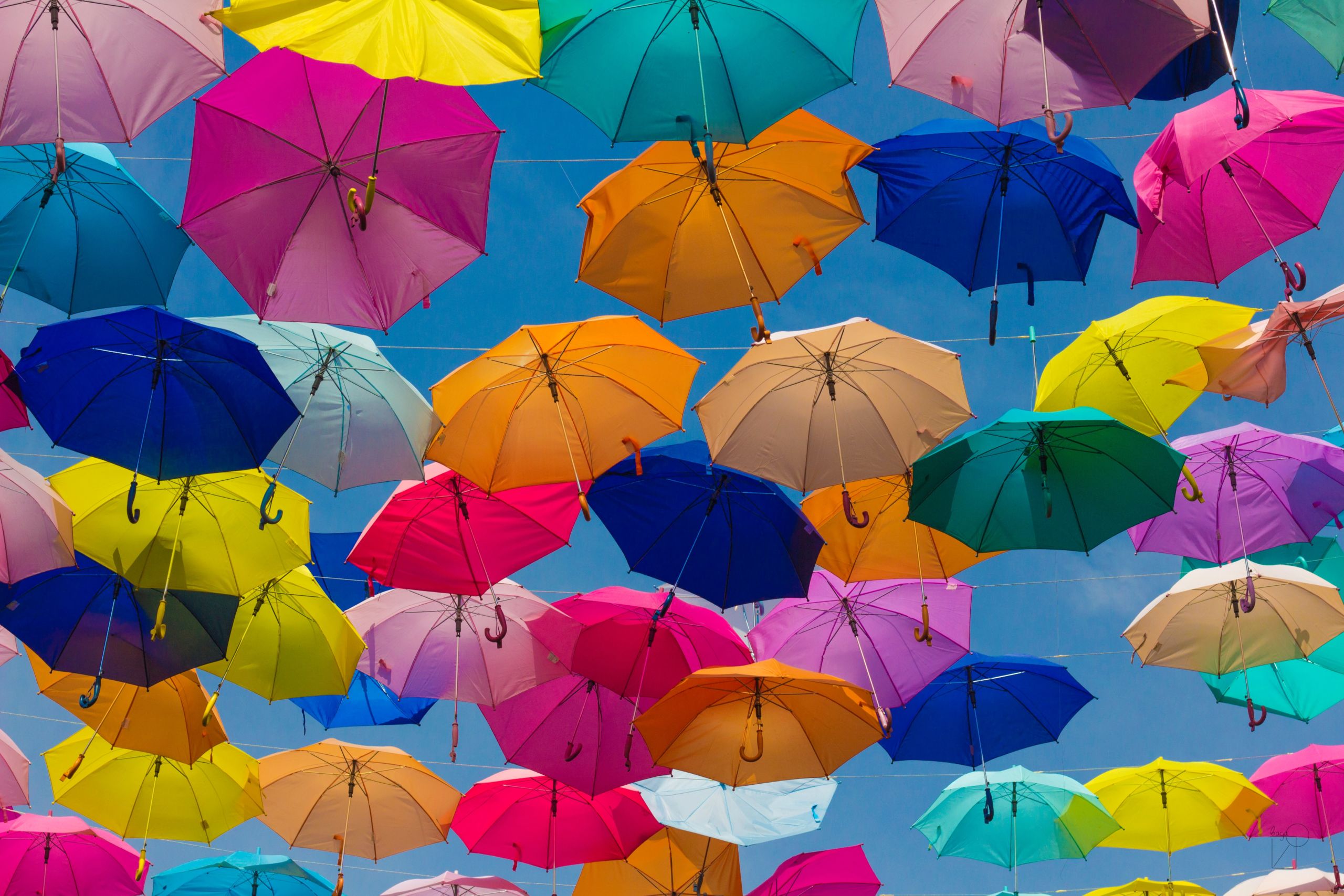 assorted umbrellas